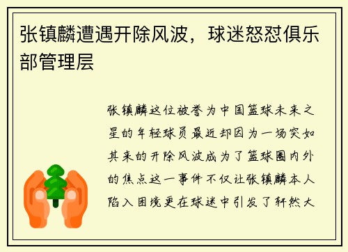 张镇麟遭遇开除风波，球迷怒怼俱乐部管理层