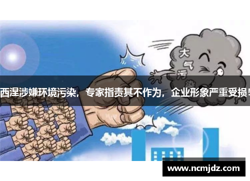 西涅涉嫌环境污染，专家指责其不作为，企业形象严重受损！