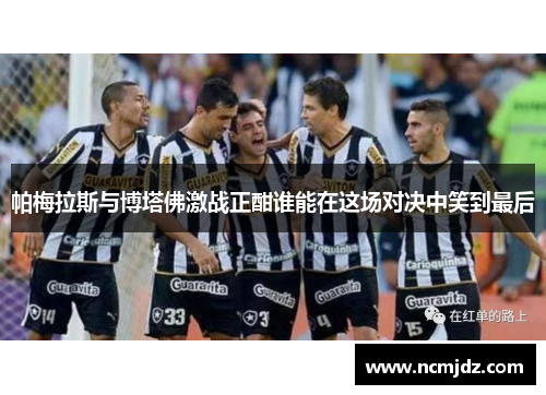 帕梅拉斯与博塔佛激战正酣谁能在这场对决中笑到最后