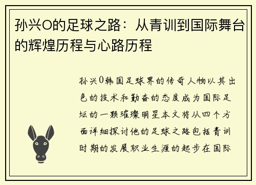 孙兴O的足球之路：从青训到国际舞台的辉煌历程与心路历程